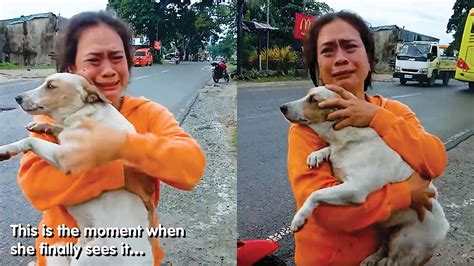 babae kinantot ng aso|Dalawang aso viral nang makipaglabing.